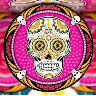 Skull NEW Edition 5 Skull NEW Edition - Image 3