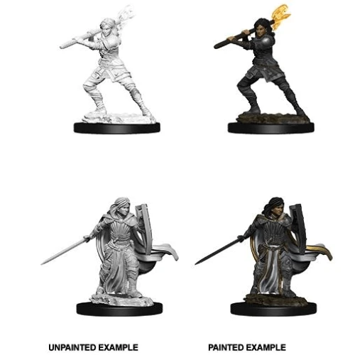 D&D Nolzurs Marvelous Unpainted Miniatures – Human Paladin – Female 3 D&D Nolzurs Marvelous Unpainted Miniatures – Human Paladin – Female