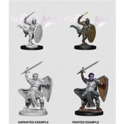 D&D Nolzurs Marvelous Unpainted Miniatures – Aasimar Paladin – Male