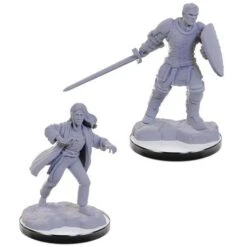 D&D Nolzurs Marvelous Unpainted Miniatures – Reborn Paladin & Warlock